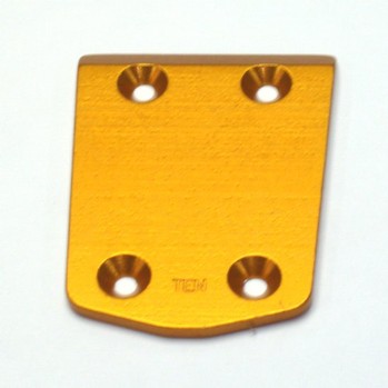 TEAM LOSI 810 -TEN - SCTE ALUMINUM WEAR GUARD (10854)